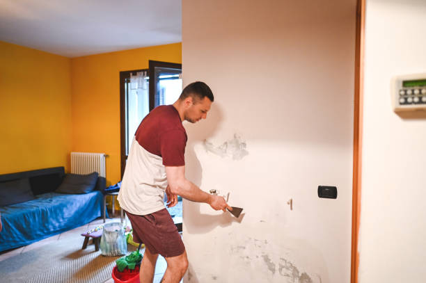 Best Residential Mold Removal  in Eaton Estates, OH