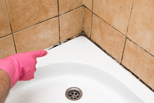 Best Commercial Mold Removal  in Eaton Estates, OH